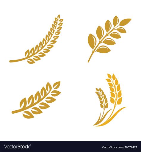 Wheat logo images Royalty Free Vector Image - VectorStock