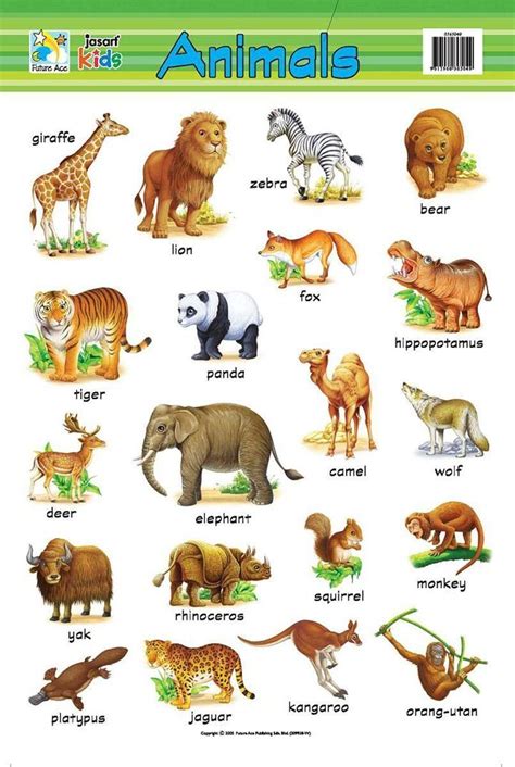 38 Printable Animal Charts in 2020 | Learning english for kids, Teach ...