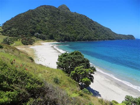 Whangarei Heads, New Zealand 2023: Best Places to Visit - Tripadvisor