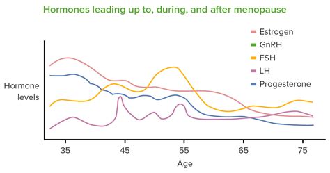 Menopause - E-Learning mit Lecturio