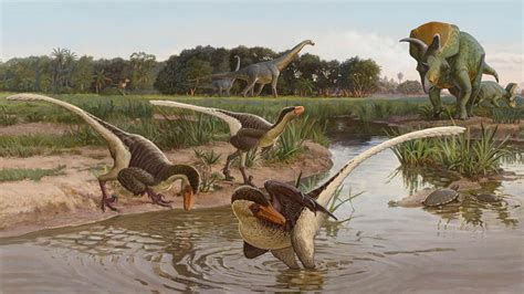 Fossils of a new dromaeosaur date to the end of the Age of Dinosaurs