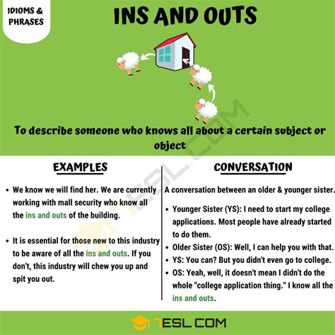 "Ins and Outs" Meaning, Origin and Examples • 7ESL