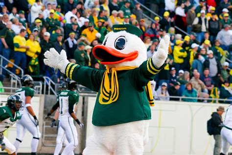 Oregon Ducks Mascot Puddles At Autzen Stadium Photograph by Joshua Rainey