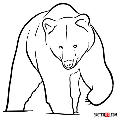 How to draw a grizzly bear (front view) | Bear drawing, Outline ...