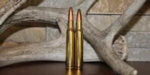 Comparing 3006 And 7mm: Which Is Right For You? 7mm Vs 30-06 Recoil ...