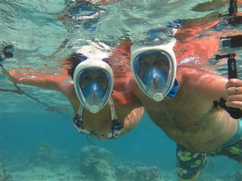 Snorkeling Guided Tour at Moorea Lagoonariumby Moorea Water Games - Far ...