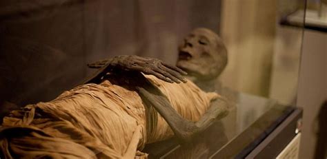 First complete genome data extracted from ancient Egyptian mummies ...