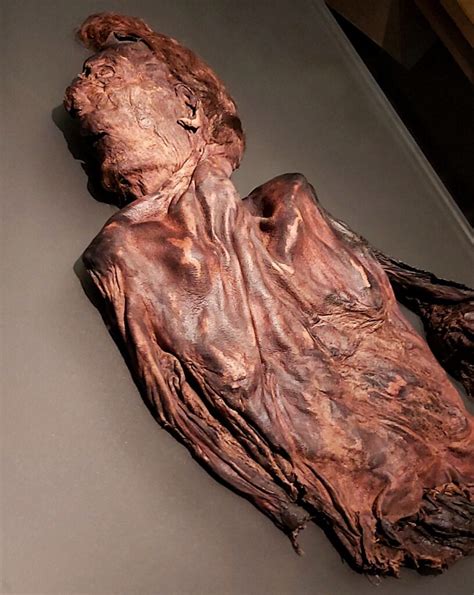 Irish Bog Bodies - Coming Face to Face with our Ancient Ancestors ...