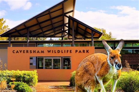 Caversham Wildlife Park Cashback 10% Harga Tiket Masuk 2024