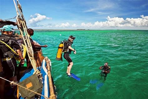 Wasini Island Dolphin Tours (Kenya): Hours, Address - Tripadvisor