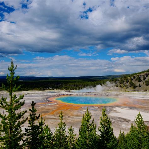 Yellowstone Adventure Tours (Bozeman) - All You Need to Know BEFORE You Go