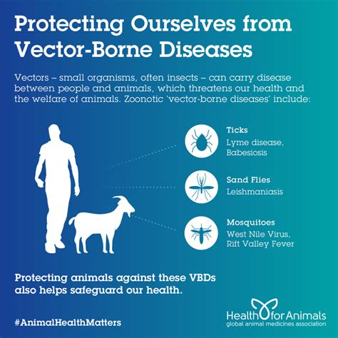 Vector-Borne Diseases - HealthforAnimals