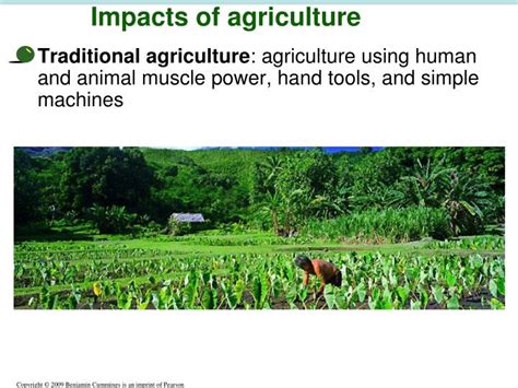 PPT - 008 Soil, Agriculture & the Future of Food PowerPoint ...