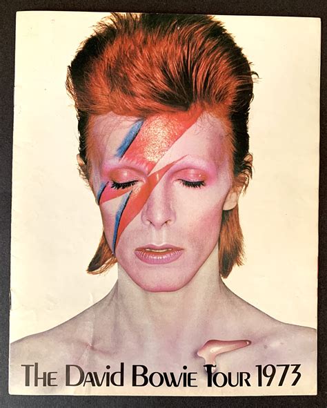 David Bowie Ziggy Stardust/ Aladdin Sane 1973 UK Tour Programme ...