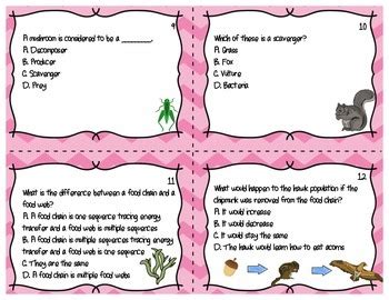 Food Chain Task Cards Board Game by The Teaching Chick | TpT