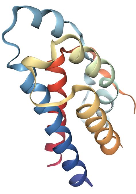 IL2 Protein