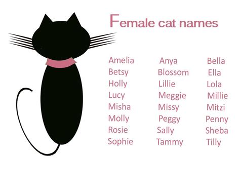 Cute Cat Names For Girls