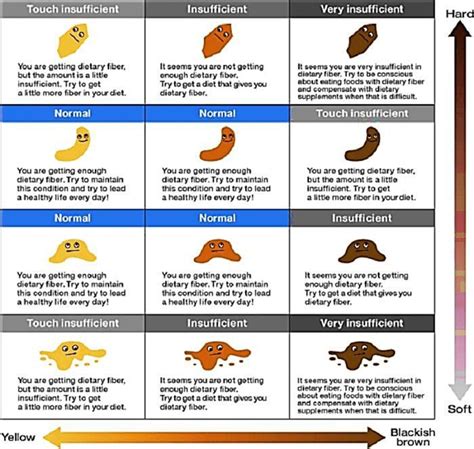 12+ Free Printable Stool Color Charts (Word | PDF) | Stool color chart ...