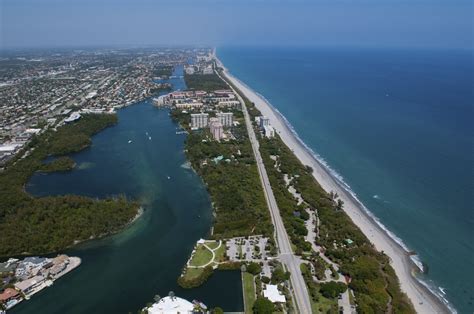 Florida Atlantic University - AyanahCristien