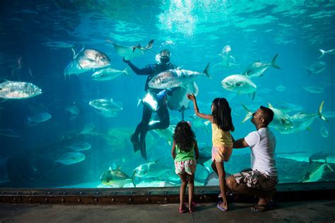 Here Are The 10 Coolest Aquariums in The World