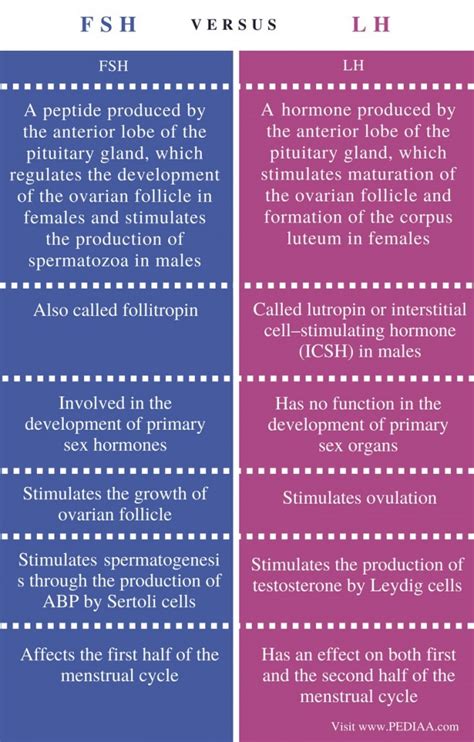 Difference Between FSH and LH - Pediaa.Com