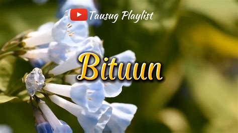 Bituun - Tausug Song Karaoke HD - YouTube