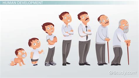 Explain the Different Stages of Development - Ethen-has-Day