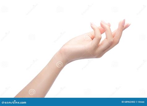 Hand Holding Something Clip Art