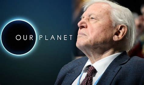 Our Planet Sir David Attenborough explains reason behind Netflix ...