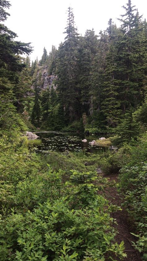 Eagle Bluff Trail - British Columbia, Canada | AllTrails