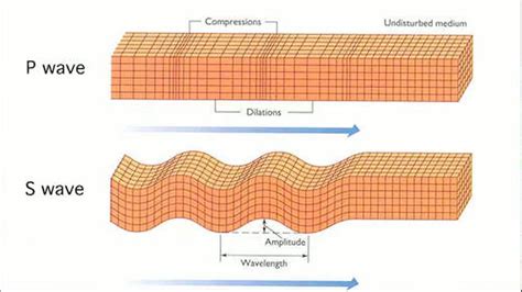 Demonstrating an Earthquake's Seismic Waves | Smithsonian Ocean Portal