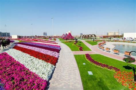 Flowers Pictures | Flowers Wallpapers: Dubai Flower Show