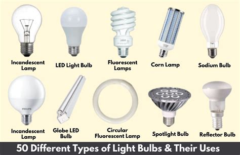 Globe Light Bulb Types | Shelly Lighting