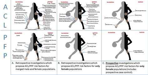 High knee abduction moments are common risk factors for patellofemoral ...