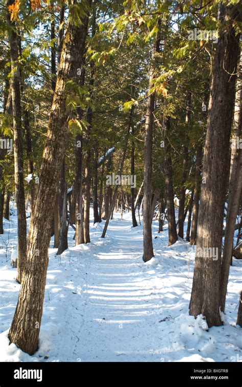 Birds Hill Manitoba Canada Stock Photo - Alamy