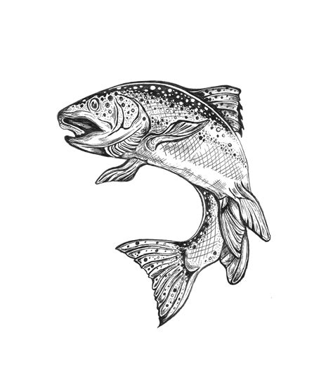 Fish Pen & Ink Illustration - Nature Drawing on Behance