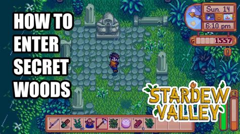 secret woods stardew - Facinate Wave