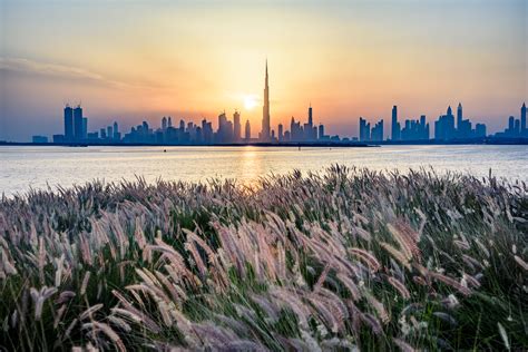 Dubai Skyline, Ras Al Khor, UAE 🇦🇪 | David Gabis - Nature & Landscape ...