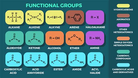 Overview of common functional groups - Labster