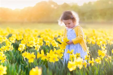 Download Little Girl Yellow Flower Daffodil Summer Depth Of Field ...