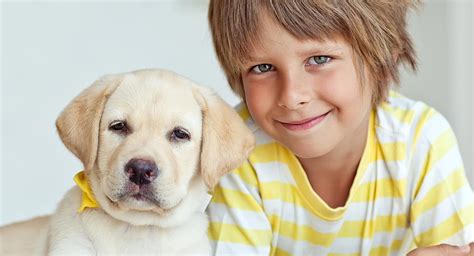 Dogs And Kids - How To Play With A Dog Safely