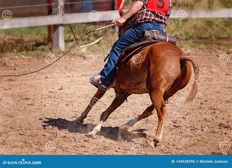 Whip Cracking Rodeo Competition Stock Photo - Image of background, icon ...