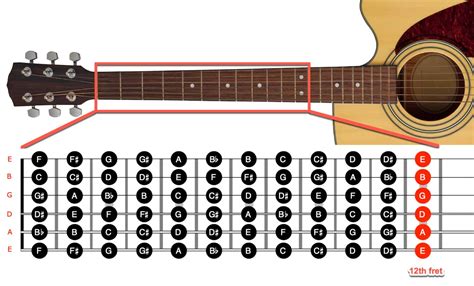 Acoustic Guitar Fretboard Chart