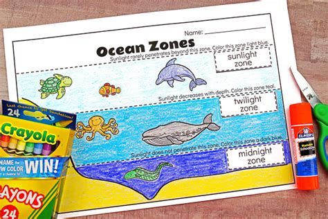 Ocean Zones For Kids: Learning About The Amazing Ocean