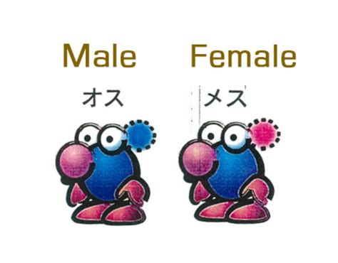 Unseen Evolution: Jaw-dropping Transformation of Original Pikmin Designs