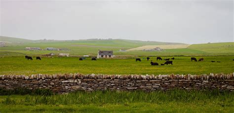 A fun Day Trip to Orkney Islands, from John o'Groats!