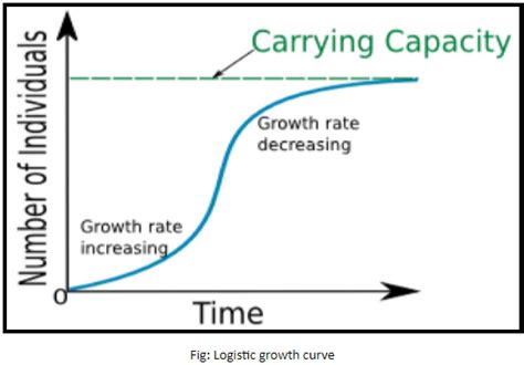 Logistic Growth Graph