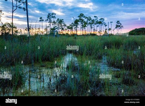 Everglades Sunset National Park lake reflections Stock Photo - Alamy