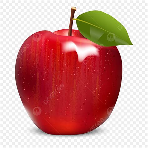 Apple PNG, Vector, PSD, and Clipart With Transparent Background for ...