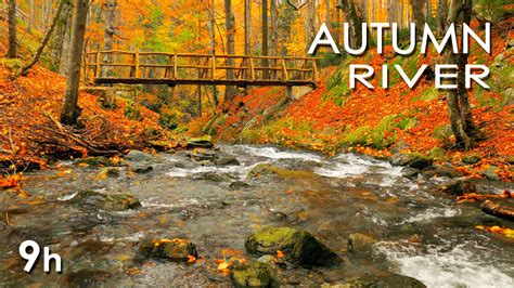 Free photo: Autumn River - Autumn, Stone, River - Free Download - Jooinn